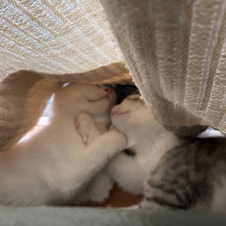 Ca002ef2 a497 4a64 aa5f 09f558916d07 1594677700230