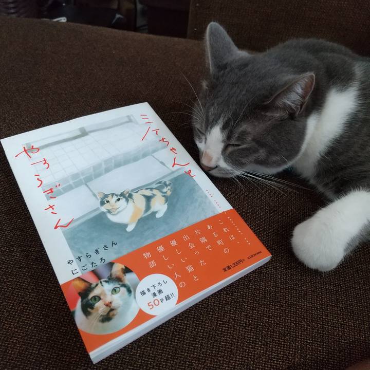 Ca004af8 f86c 4593 acc8 7ebc6799c35f 1631061391812