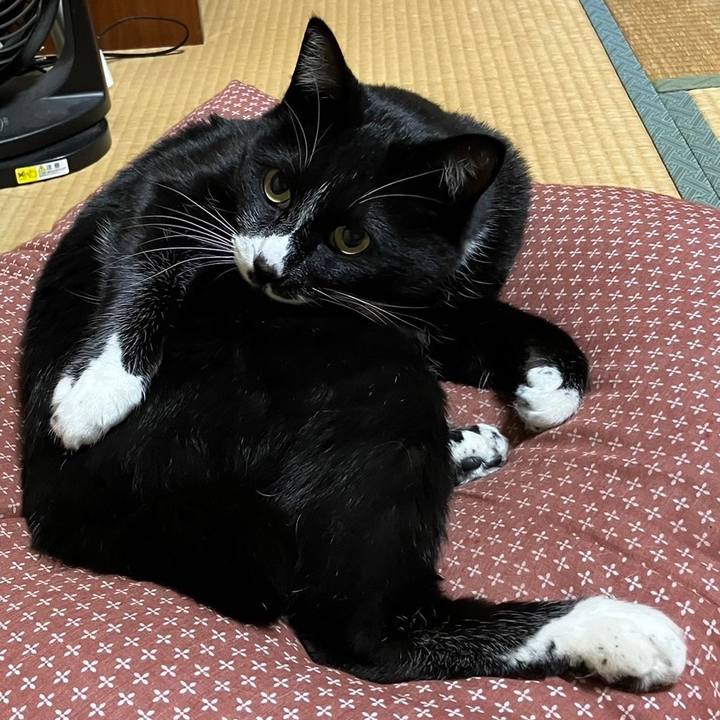 Ca00aef8 9446 4037 be9f 9685f3811a36 1680233413427