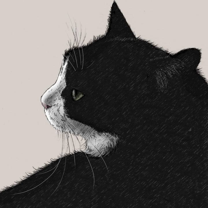 Ca00d196 8a86 4fef 87a9 d869698921a4 1574086477344