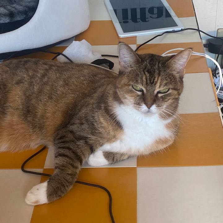 Ca013839 8f09 4a27 877d 7d3a8598105d 1730598618121