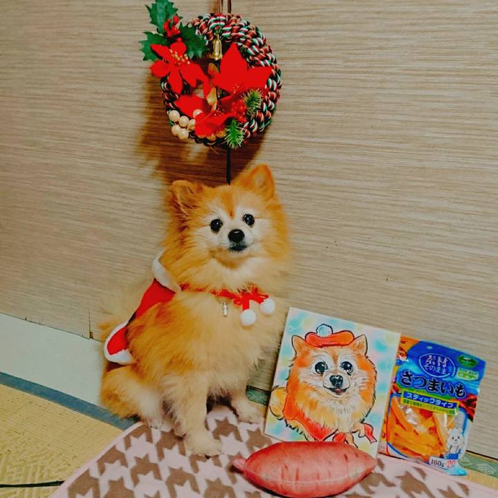 Ca01799a c591 4243 88aa e6516f41d502 1545687872927