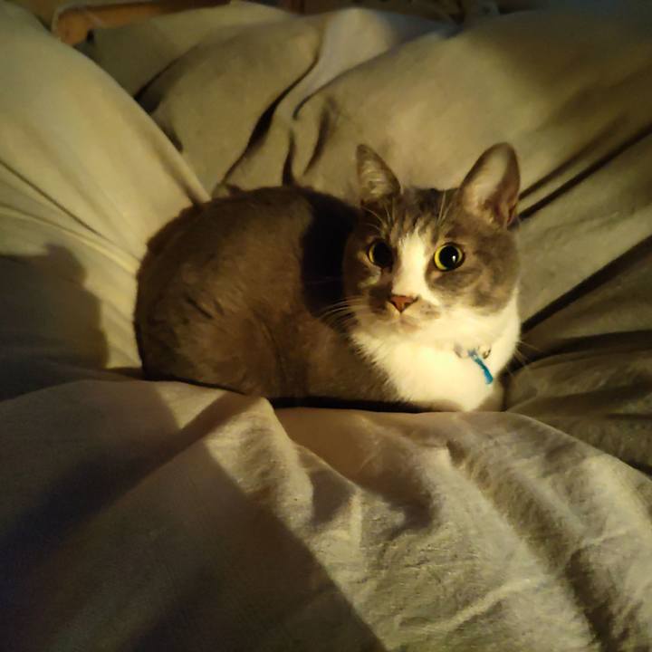 Ca020bcf f08f 4d80 a3b7 bfba0e836a04 1670535489647