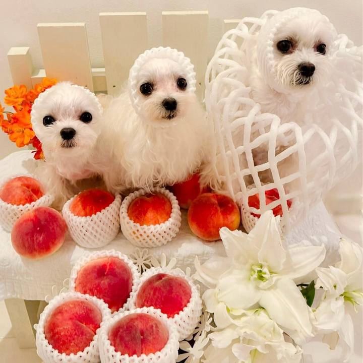 Ca0215c6 b57e 4323 bc45 258362f8e0cf 1720516070484