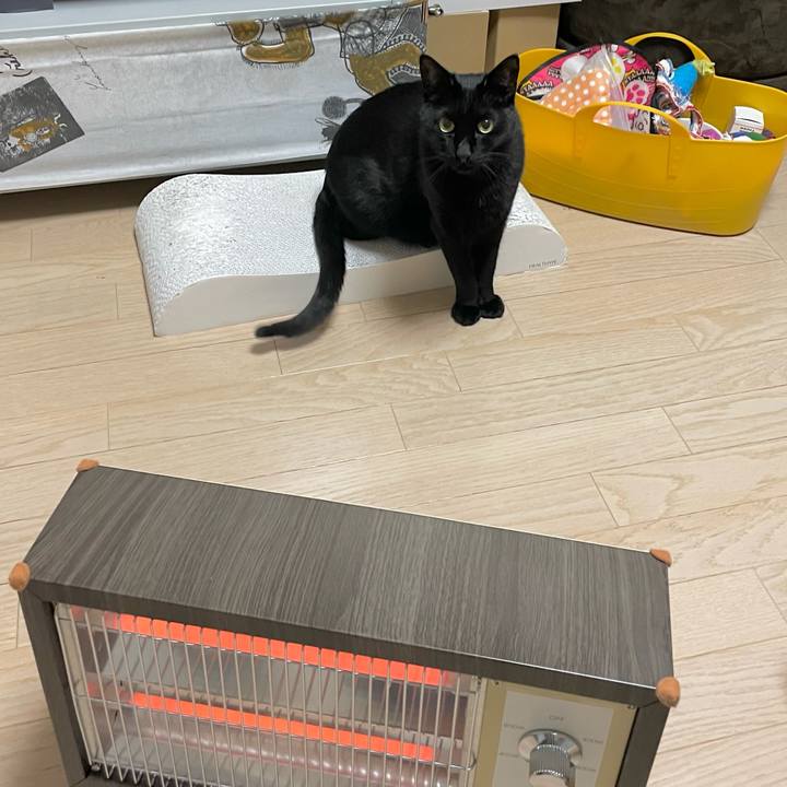 Ca021abe 9484 441e b557 1b77fd974f13 1641993265308