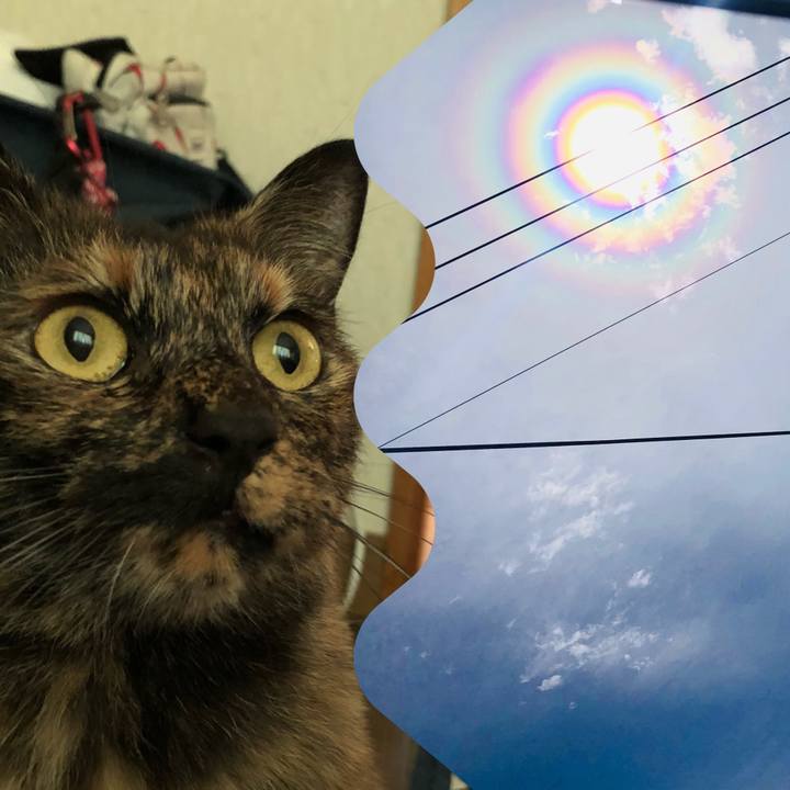 Ca02646f d8c2 4818 be79 e76cf792eede 1561878300865