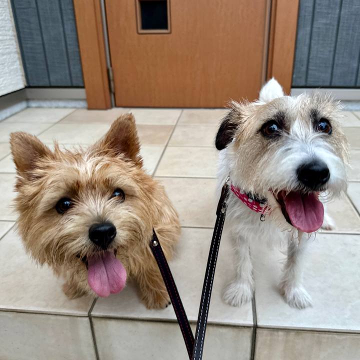 Ca026c5a 7df1 4e53 844d d73cac9451ac 1751920449459