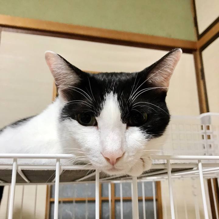 Ca032b87 c611 483d 84f1 0ca52ffde15f 1507769228593