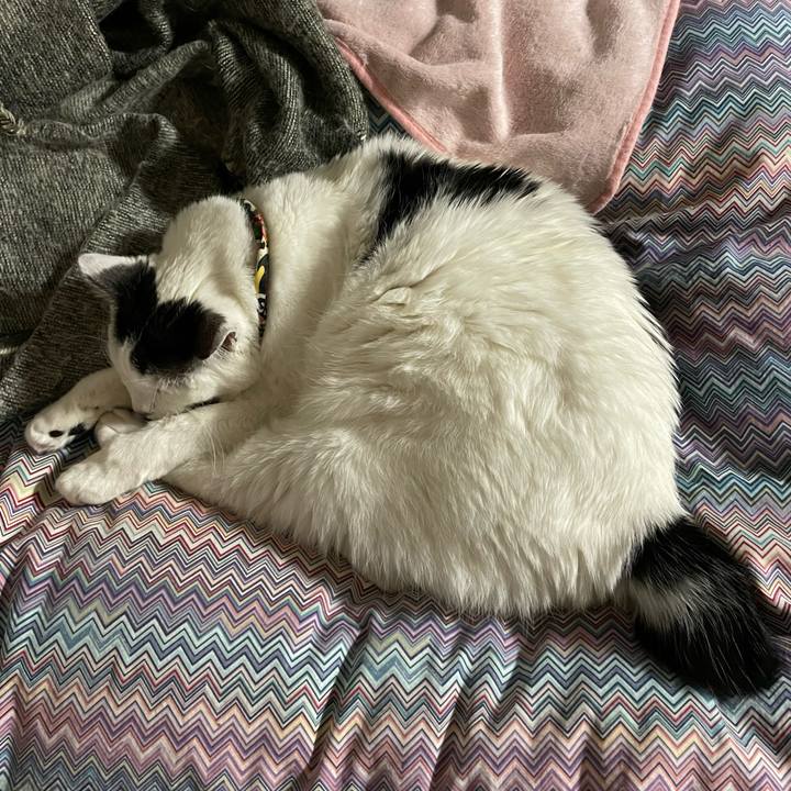 Ca035d5d 3e16 4470 b691 130d0027b0fe 1647529042547