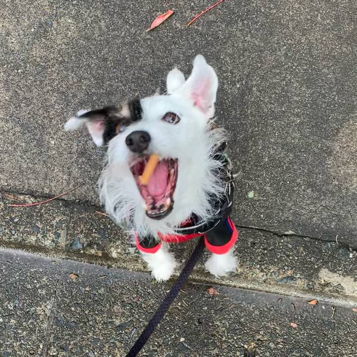 Ca03d8d0 30a7 499a 8985 d58f1c45269f 1670896348426