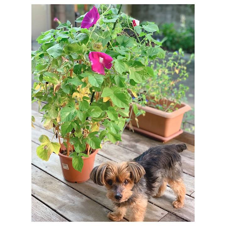 Ca03e555 df03 424a b353 98cea404396c 1629495819430