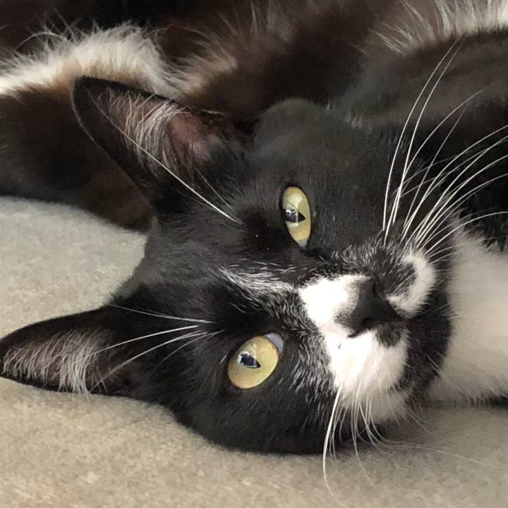 Ca041487 e718 4e20 b4d7 07c54d26c0ad 1597462814997