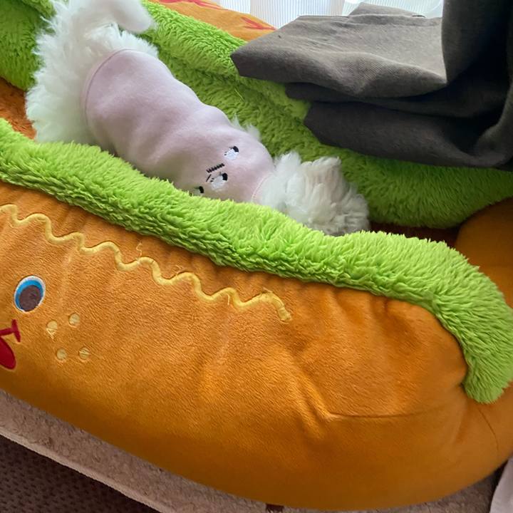 Ca0426be 0f7f 4e8e bbee 8ea123f30512 1741068195512