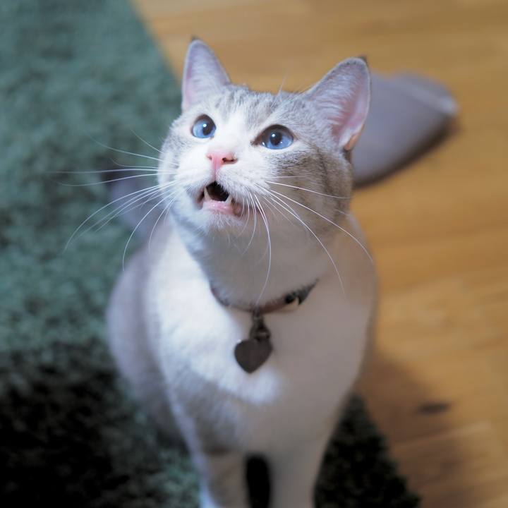 Ca0436d9 d52f 4521 8f79 92c69a7ca753 1603972365429