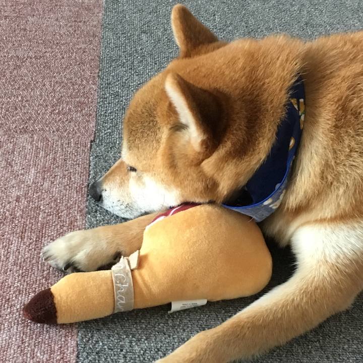 Ca0441b4 d62a 4e13 91c9 65841e01bfbc 1573995805881