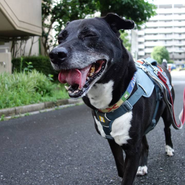 Ca048621 1253 4057 9417 adac314f858b 1720828843949