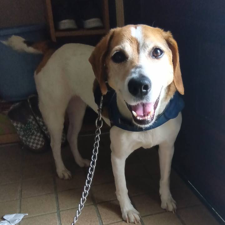 Ca04901d d010 4933 b54c 7f6758d7993f 1748006371211