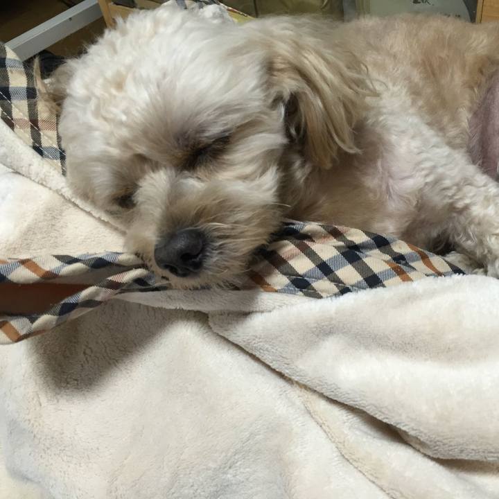 Ca04b73a 1c40 4663 a6ed 9de20ee39bc7 1570363244115