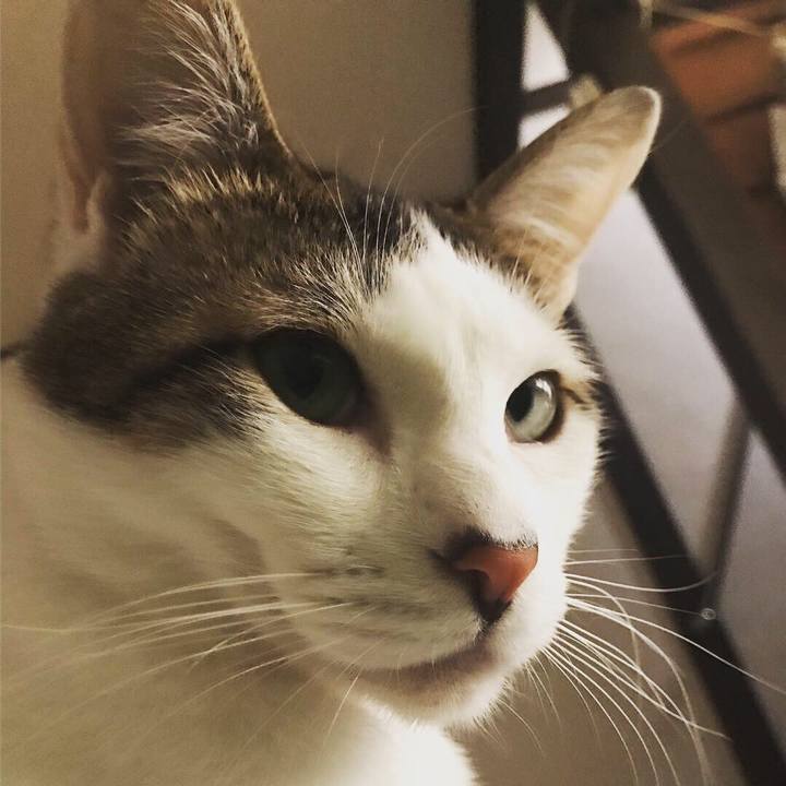 Ca04cb25 b441 468a 8a33 0c3519bc6048 1556674258258