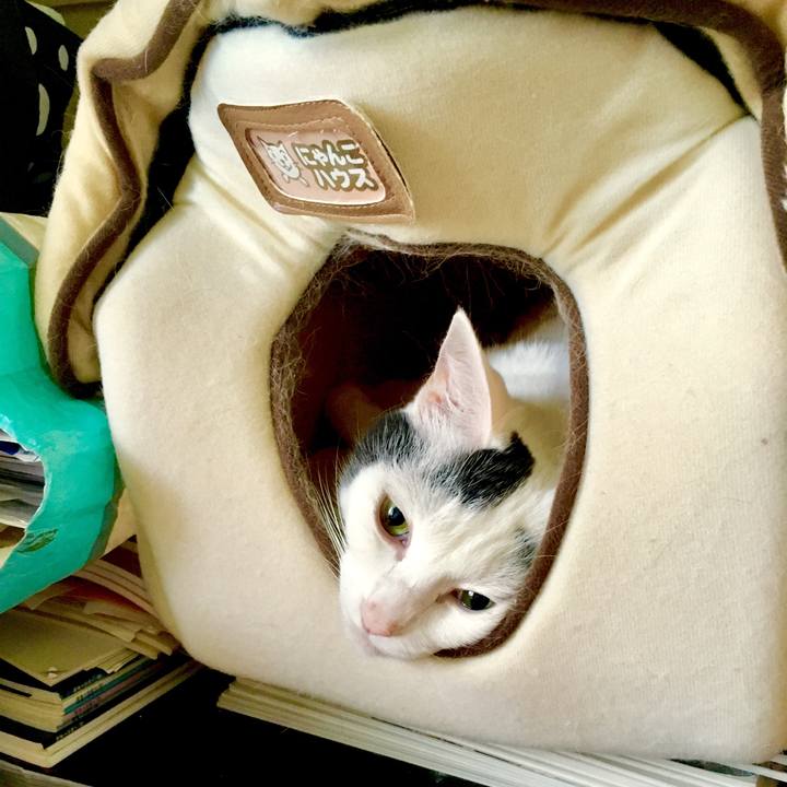 Ca04cc65 7793 4c76 beec ae647a5c5738 1555106650917