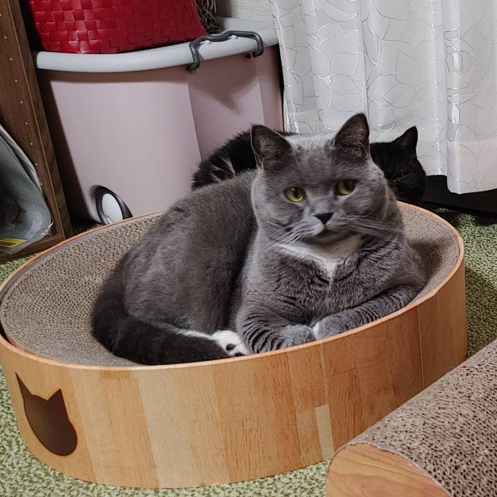 Ca04cef2 7765 4e83 ba06 5bbb4aaa8f15 1635254189618