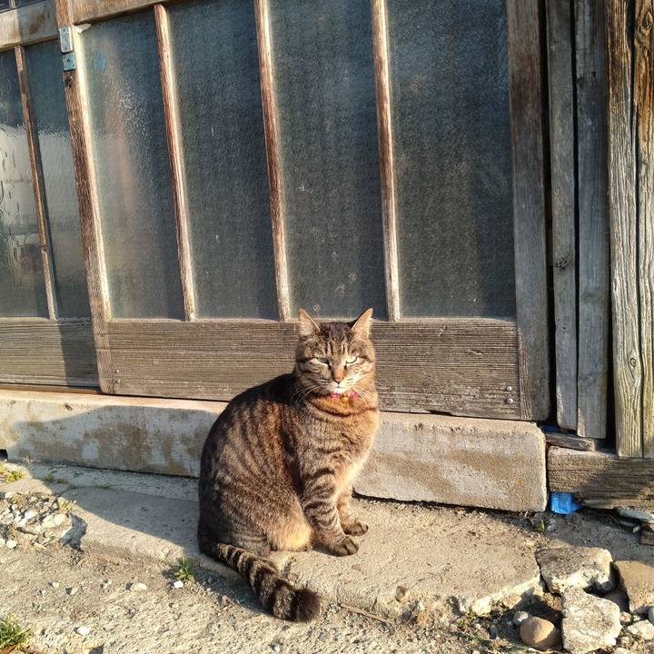 Ca0507c0 595a 4ecb a536 ad75afcc887e 1680559782209