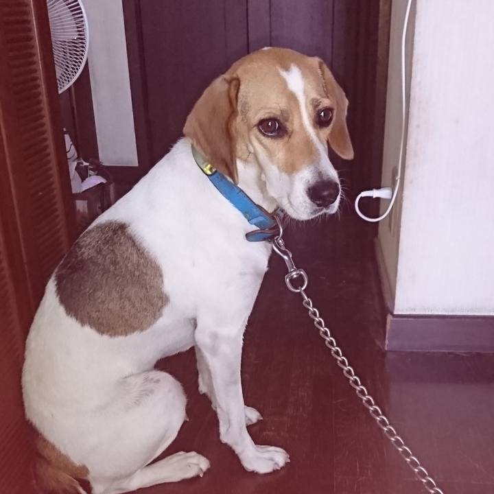 Ca053c8f 261f 46fb 92d5 27c973dd7475 1567571792508