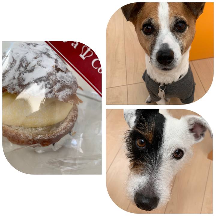 Ca054151 9bf1 4f2e 8d8a 76ffee34fe26 1554449158066