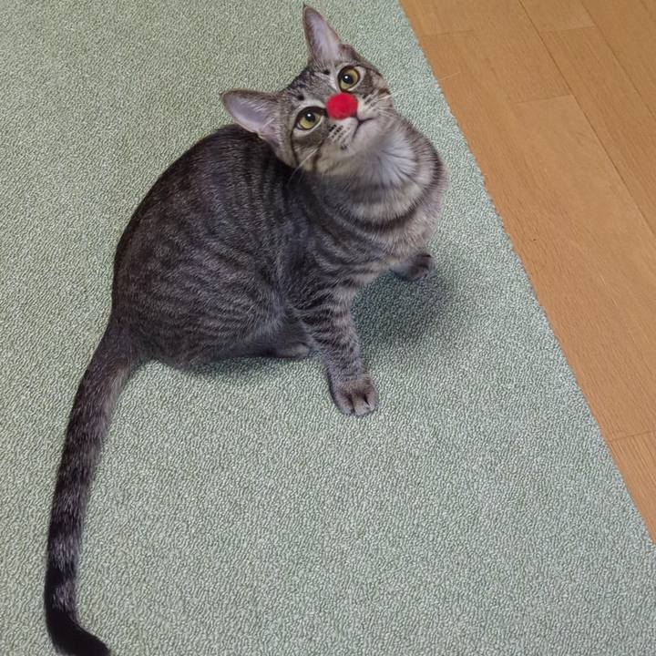 Ca054b49 312f 4227 ae8a 026e47db4d6d 1708054537378