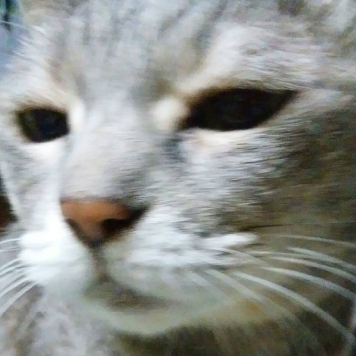 Ca054b66 23dd 481f afc0 d820f54990ce 1570835995180