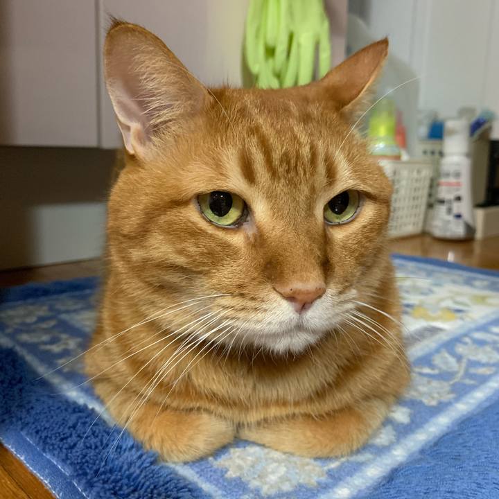 Ca057fce 3a0e 48a2 b212 0f51b2493354 1572094603545