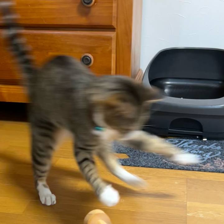 Ca05a1b1 b16c 4d8c a118 45aac918e8e1 1724842686950