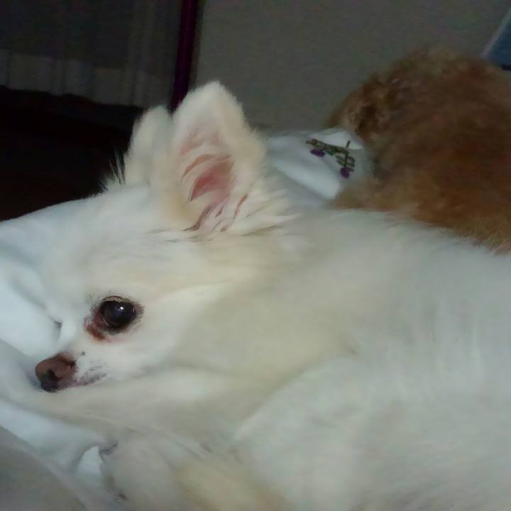 Ca05bb2e da8b 49de a323 cd0a0a9641da 1537909828874