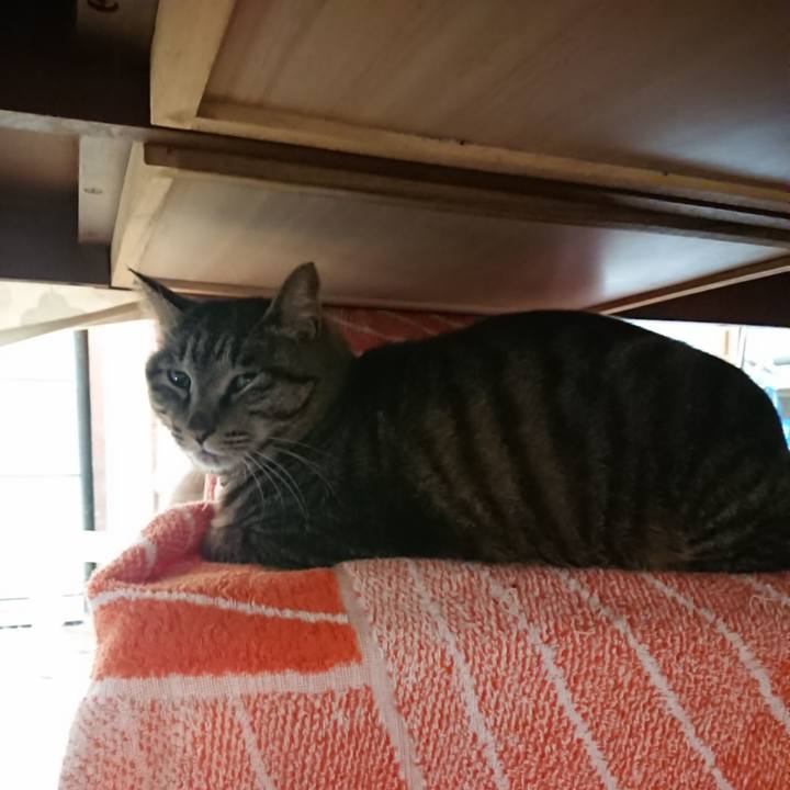 Ca05dfbf 59ca 40e6 a4fc 1a8385f1d965 1650489145728