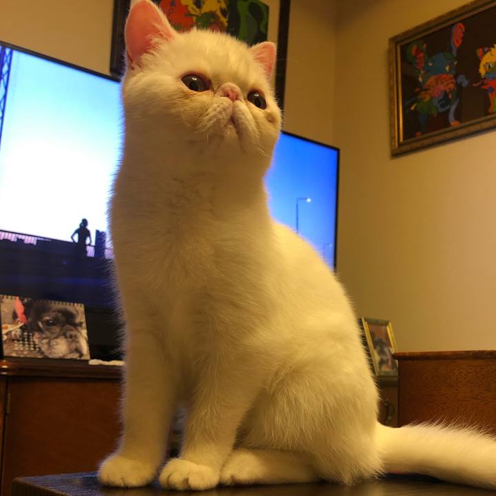 Ca064867 9564 49cf 86a2 c5275922fa40 1556707378473