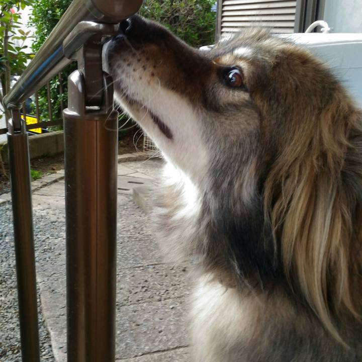 Ca0686ab 30c0 4ff7 843a 40bc08b27de8 1571558538634