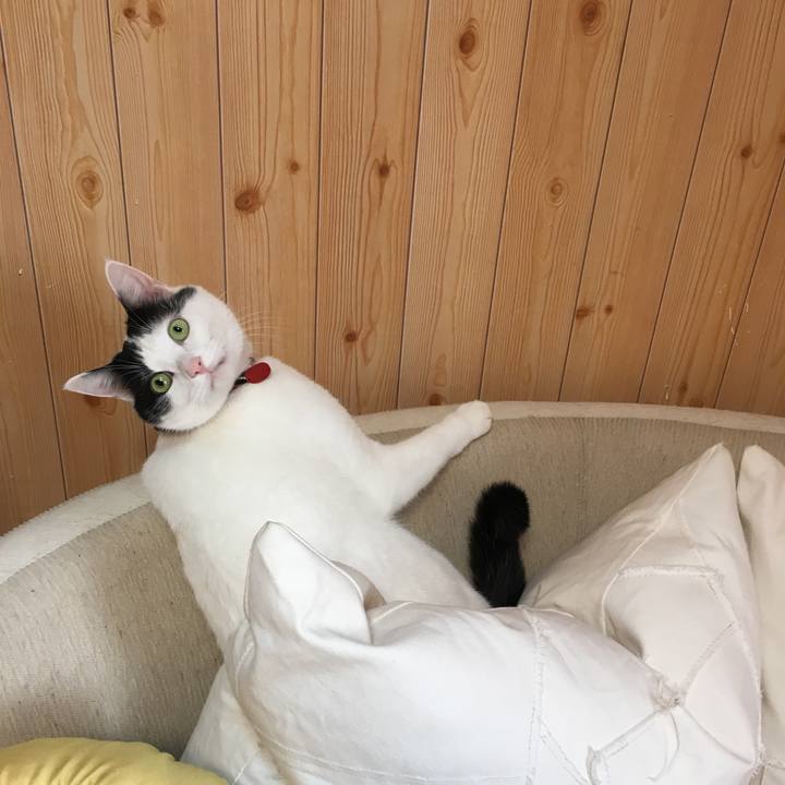 Ca06b41e 53ba 46f8 bf3d a9ce51513c43 1510272193485