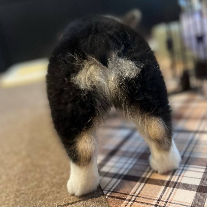 Ca06c9b4 c1c1 47b4 a456 a07d3a700885 1769815365941