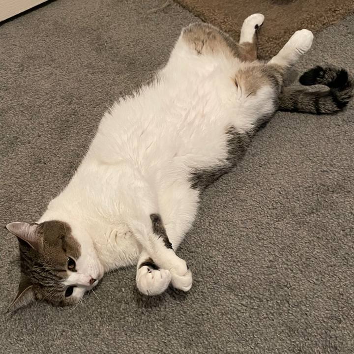 Ca06d8b0 d02b 4c1f a349 d5af91ceb70d 1733019330596