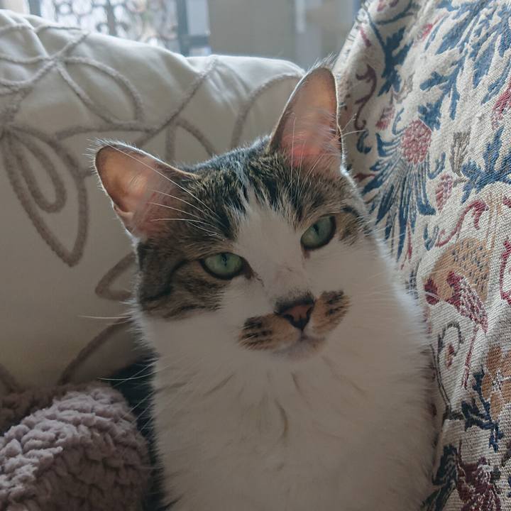 Ca06e042 62ff 4b5f 99d2 972f01e9d9de 1681267954233