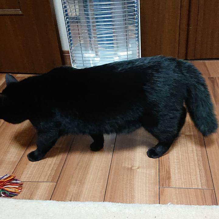 Ca074952 994d 43fb 9241 9c8cdfc1cdaf 1578928221327