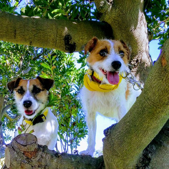 Ca078e83 f1a4 4ad0 b318 88cac8f6a36a 1538990688339