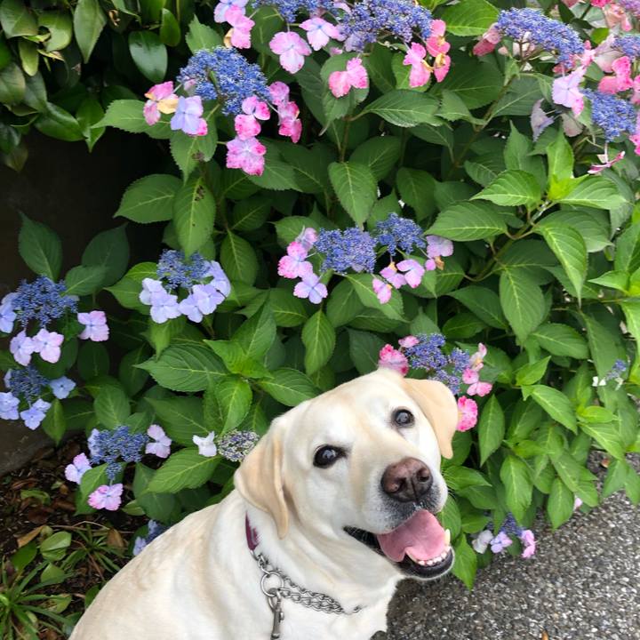 Ca079441 21c6 46fa 90dd 17b896977b2d 1655418587650