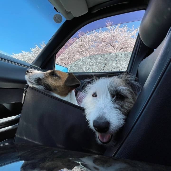 Ca079abc e7dc 4947 8ebc 5776aaef4729 1649554486987