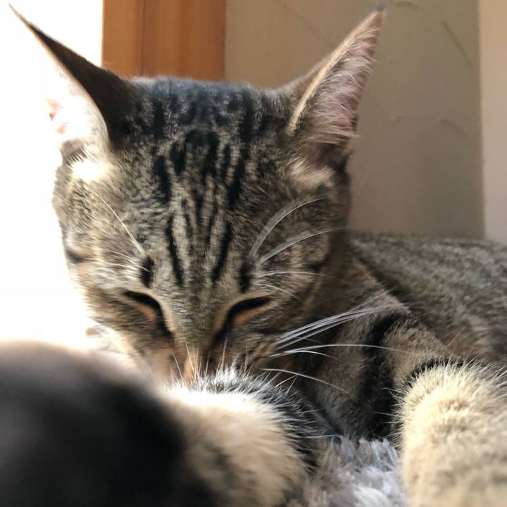 Ca07c706 4023 4bd3 89b0 9c543d926845 1530625334996