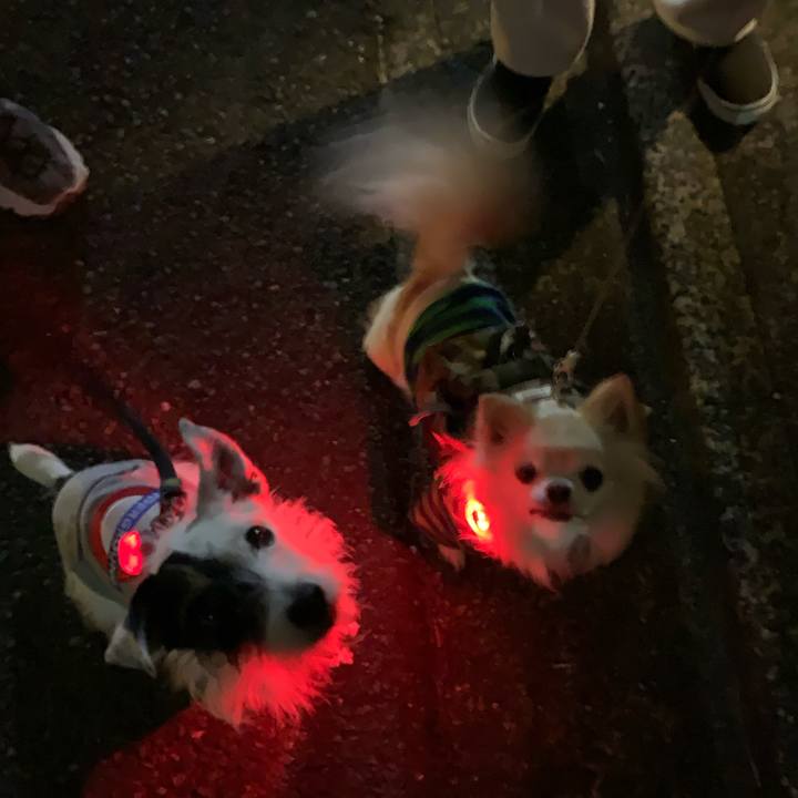 Ca07f33f f135 4a4d bb20 74459d5f70f8 1700915992894