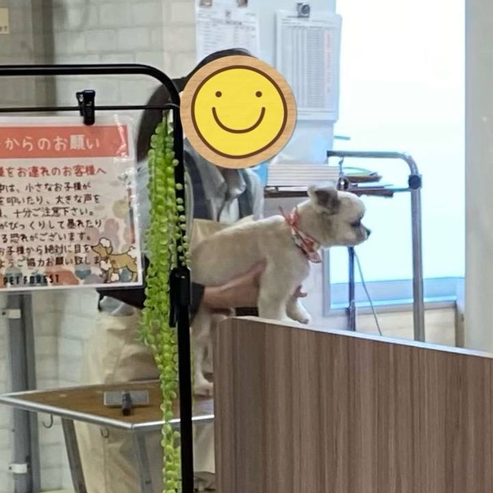 Ca080bad f454 4503 91c5 997aa9a16d0d 1701426051633