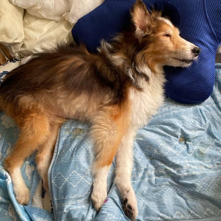 Ca083b3e 26e6 4a33 bfad 150de7a8bd58 1660047091261