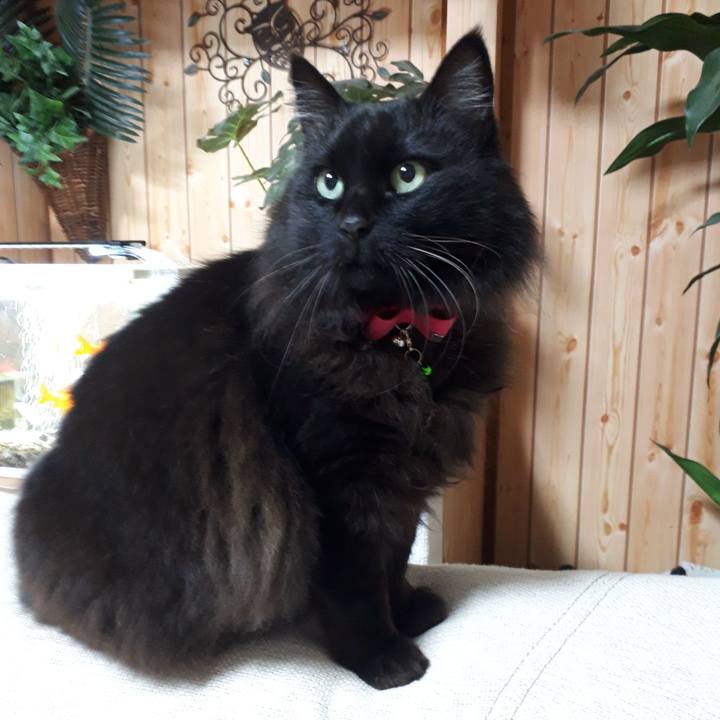 Ca087693 a970 4ae5 abbd 3578d1c3c463 1519164092973