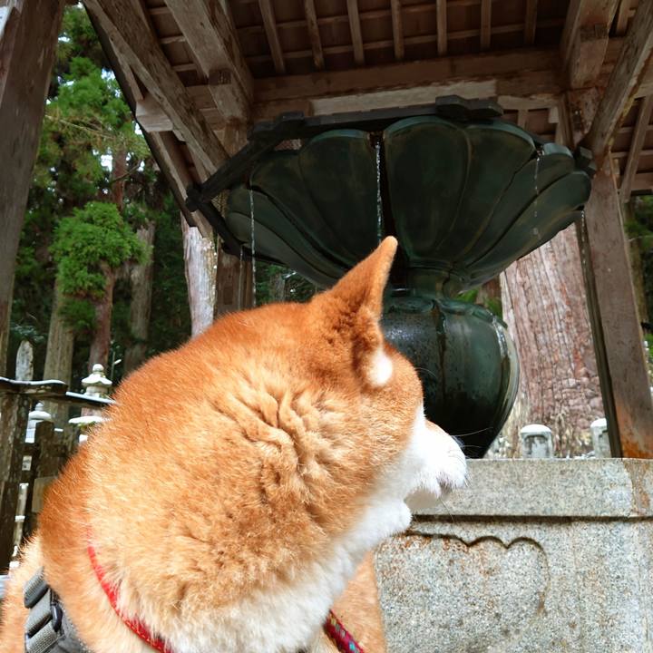 Ca089579 d8b3 41ae 9600 537bcfe0055a 1767076824074